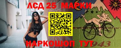 МДПВ Кингисепп