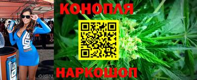 МДПВ Кингисепп