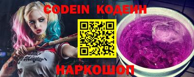 МДПВ Кингисепп