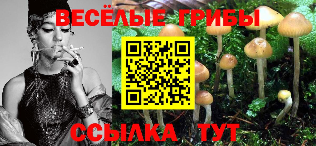 Псилоцибиновые грибы мицелий Сургут
