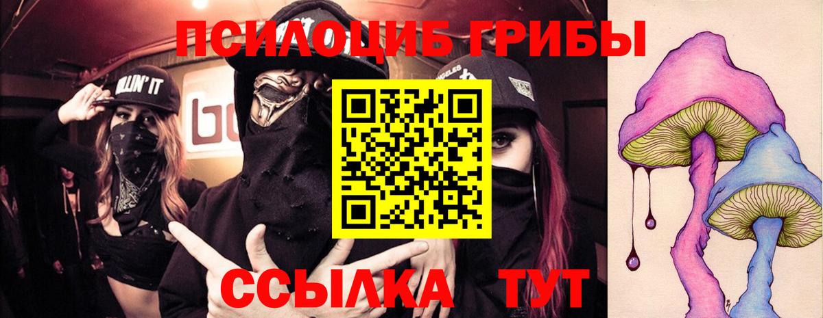 Псилоцибиновые грибы GOLDEN TEACHER  Вход с VPN  Сургут 